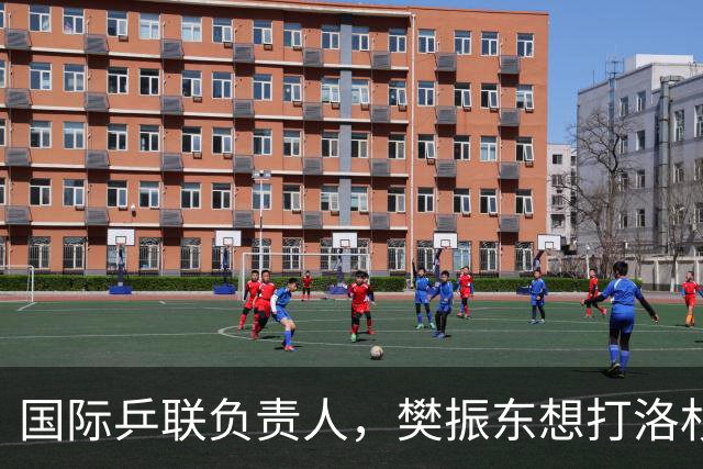 国际乒联负责人，樊振东想打洛杉矶奥运会，没有第三条路？