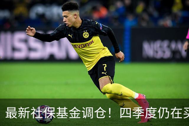 最新社保基金调仓！四季度仍在买进！持有单股市值超26亿元